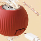 Fun Rolling Ball for Cats