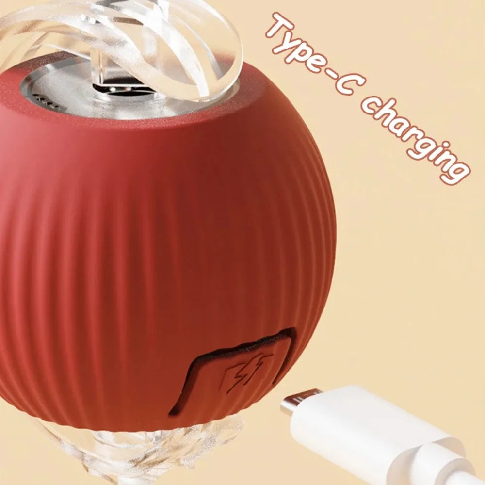 Fun Rolling Ball for Cats