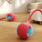 Fun Rolling Ball for Cats