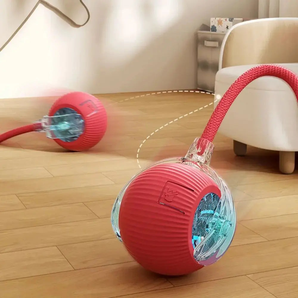 Fun Rolling Ball for Cats