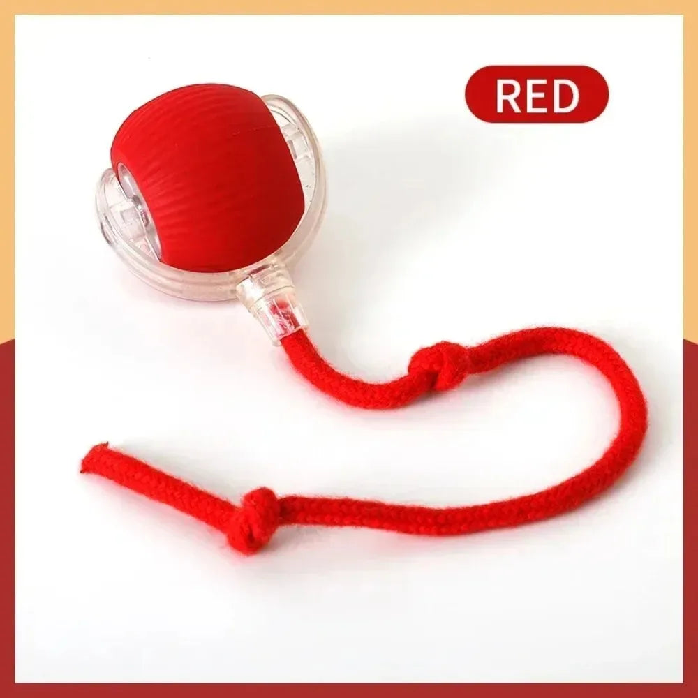 Fun Rolling Ball for Cats