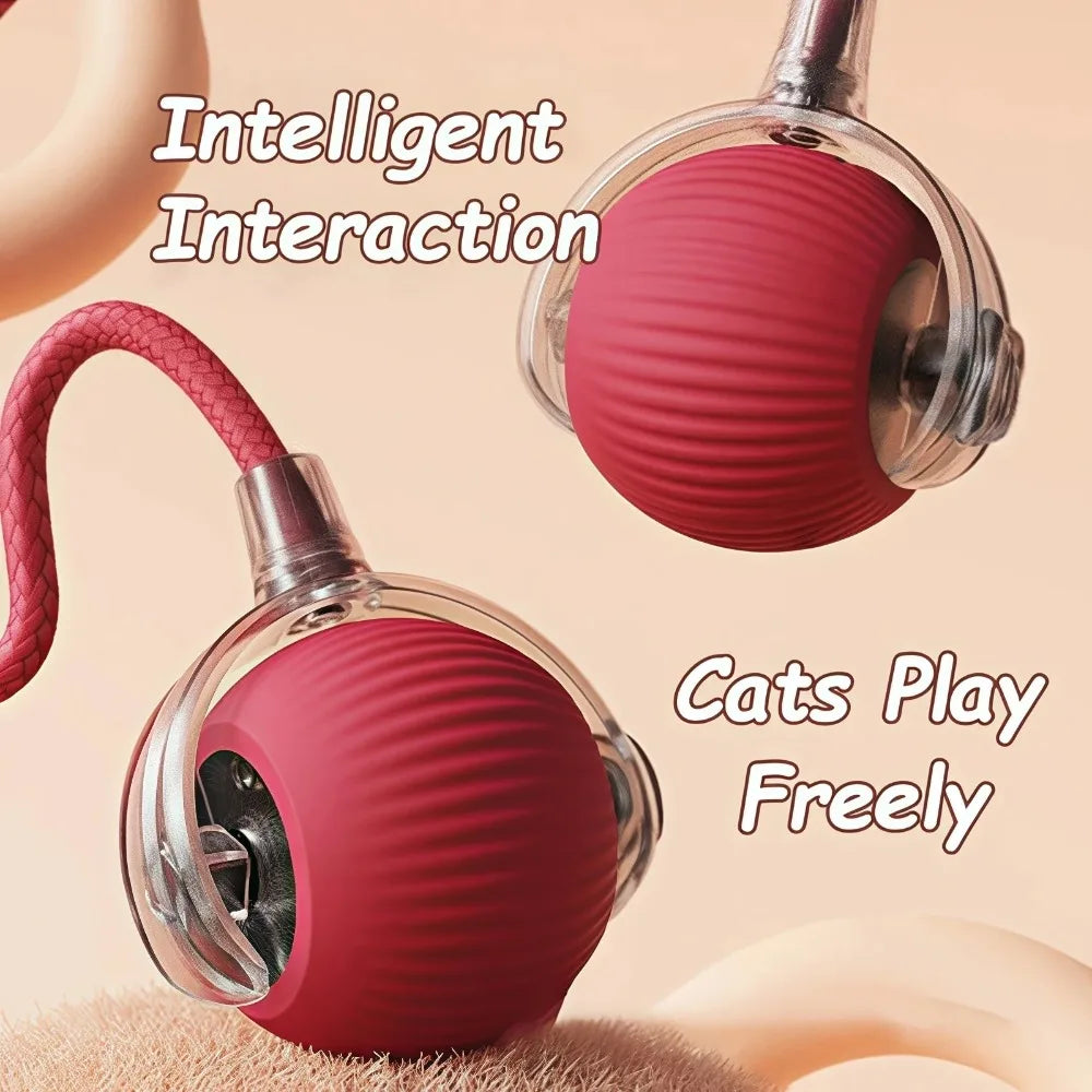 Fun Rolling Ball for Cats
