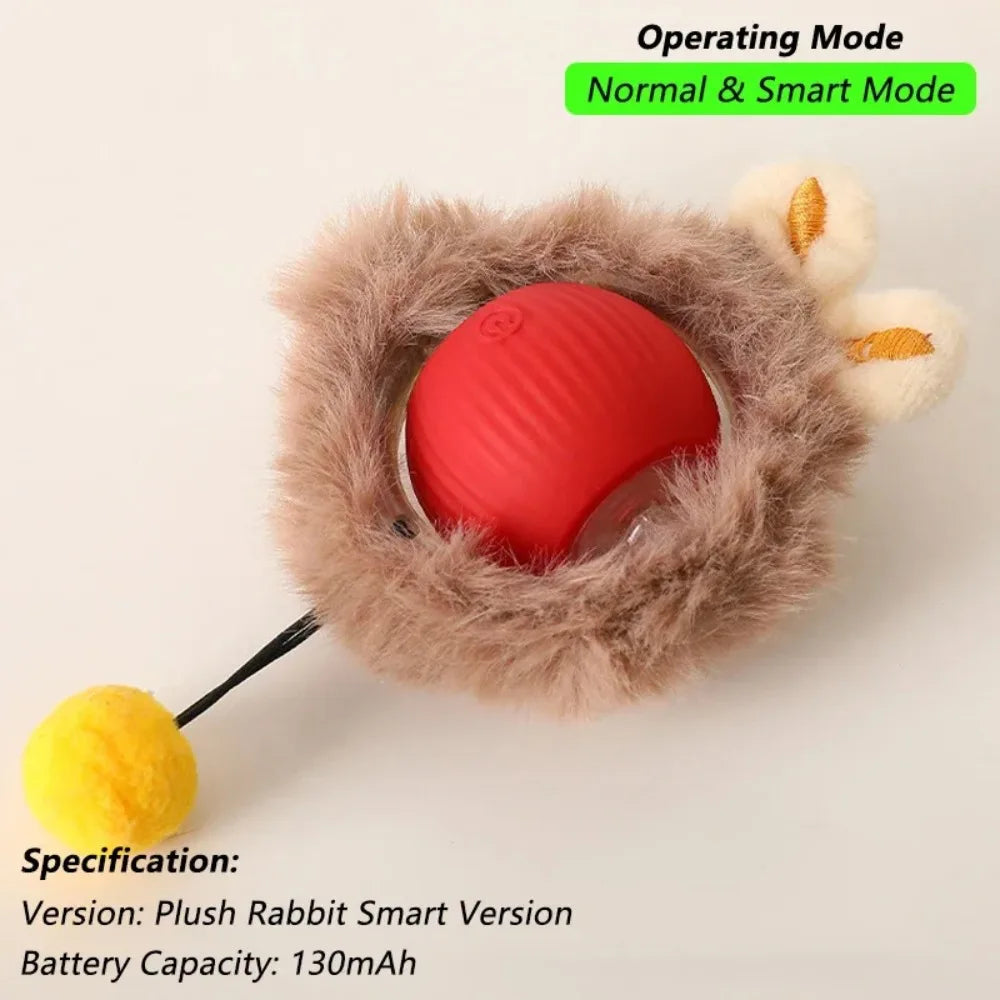 Fun Rolling Ball for Cats