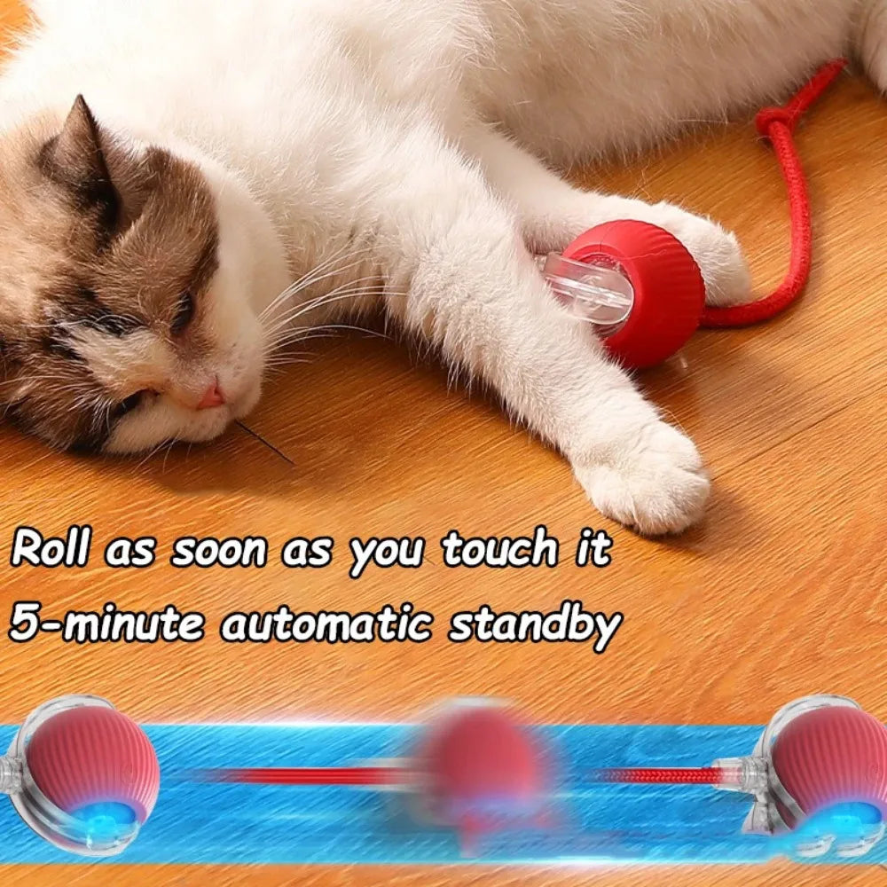 Fun Rolling Ball for Cats