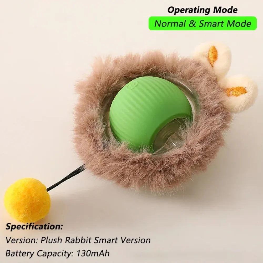 Fun Rolling Ball for Cats
