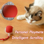 Fun Rolling Ball for Cats
